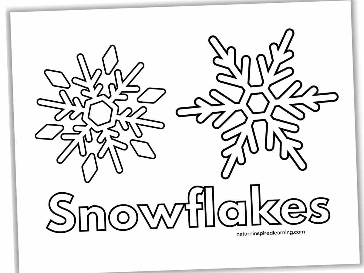 Black and white printable with the outline of two large snowflakes with the word Snowflake written in outline form below.