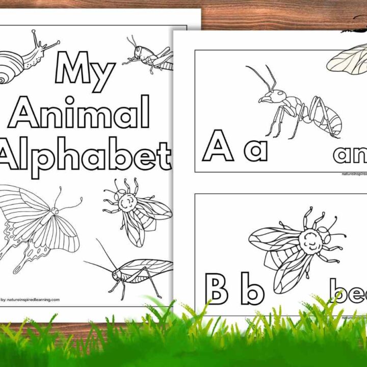 My Animal Alphabet cover page next to A is for Ant and B is for Bee coloring pages. Printables overlapping on a wooden background with green grass at the bottom and bee upper right.