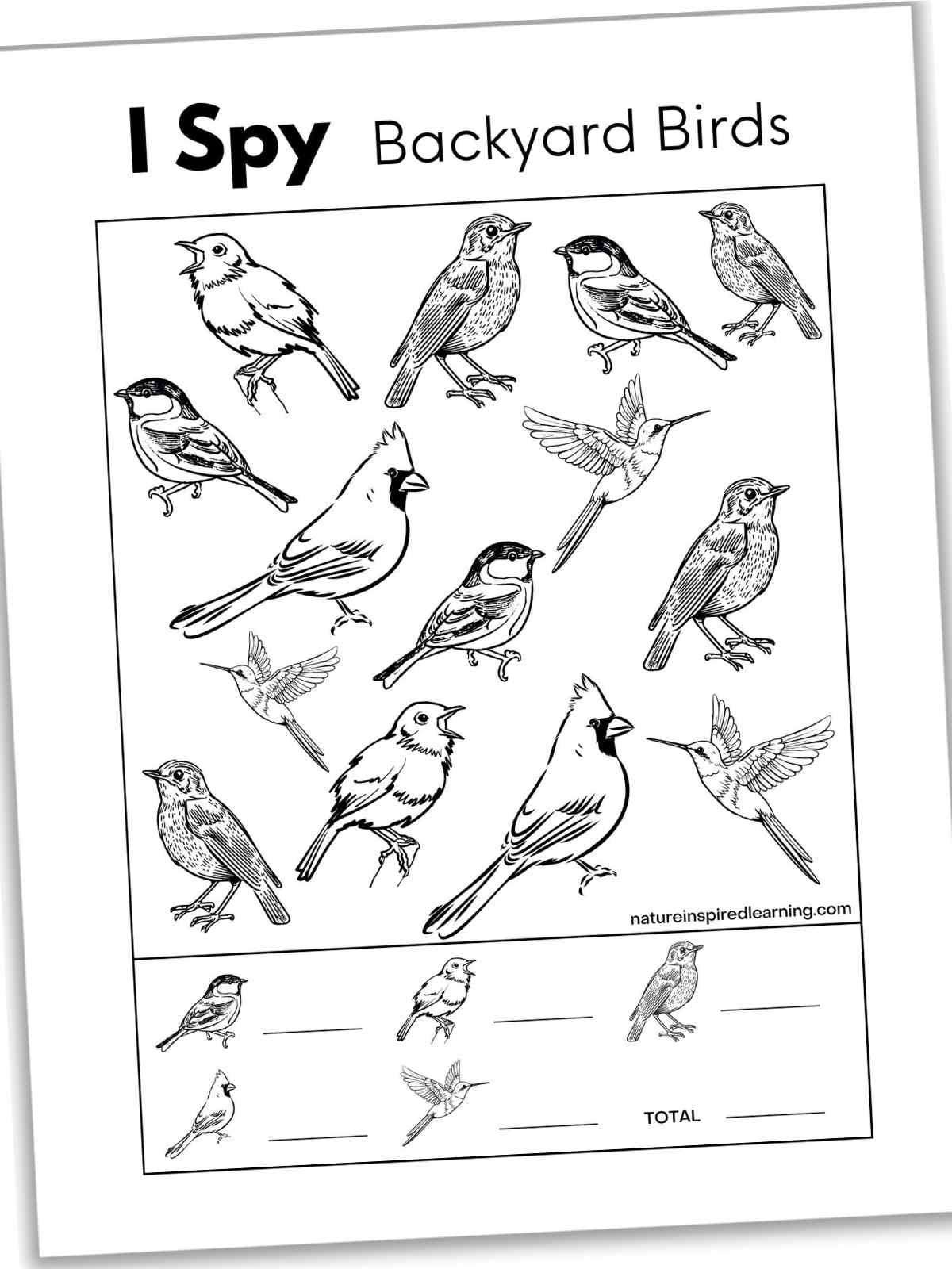 Black and white I spy printable with different birds including a wren, robin, chickadee, cardinal, and hummingbird.