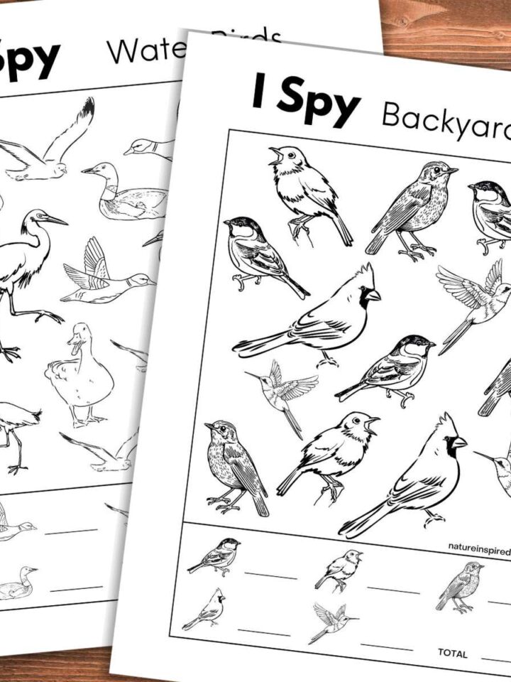 Two black and white I spy worksheet with different bird designs overlapping on a wooden background.