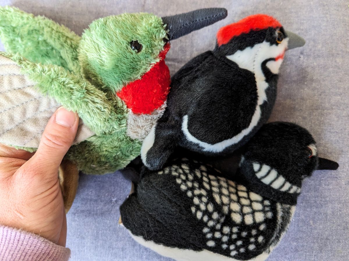 Three bird plush toys on blue fabric: loon, woodpecker, and hummingbird. Hand holding the hummingbird stuffed animal toy.