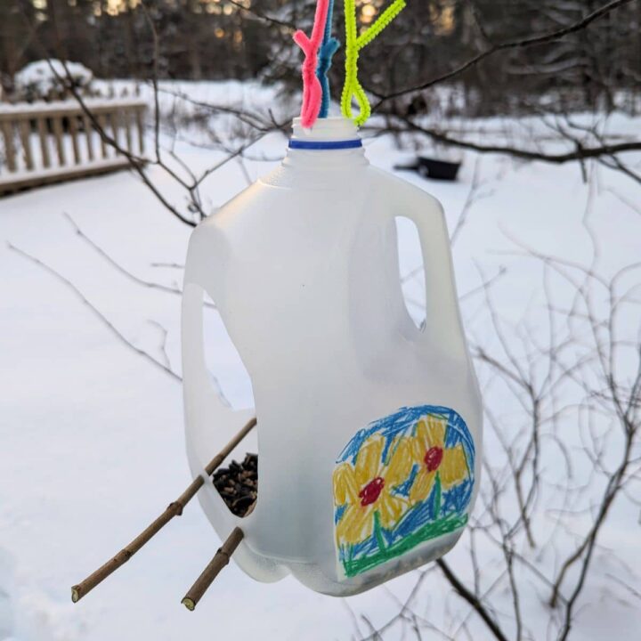 DIY bird feeder made out of a milk jug, sticks, and pipe cleaners hanging up outside on a snowy evening. Trees, a fence and sunset in the background. Colorful decoration drawn on the side of the jug.