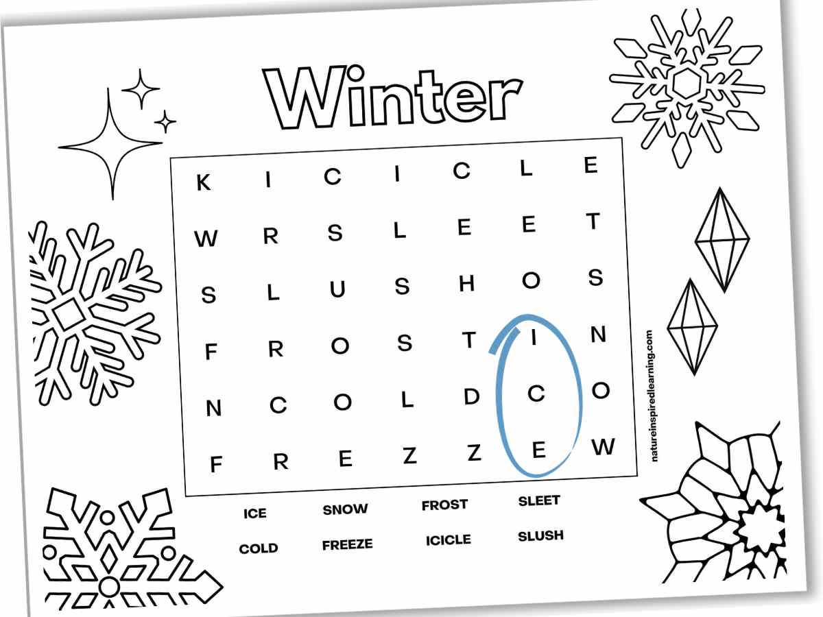 Black and white winter word search with eight hidden vocabulary words and ice circled in blue. Different snowflake designs around the puzzle.