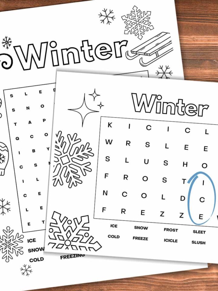 Two winter word searches overlapping on a wooden background. Navy blue marker on the left and ice circled in blue on the top printable.