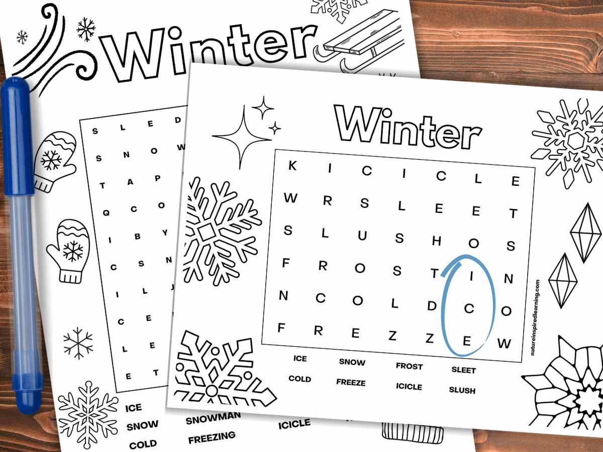 Two winter word searches overlapping on a wooden background. Navy blue marker on the left and ice circled in blue on the top printable.