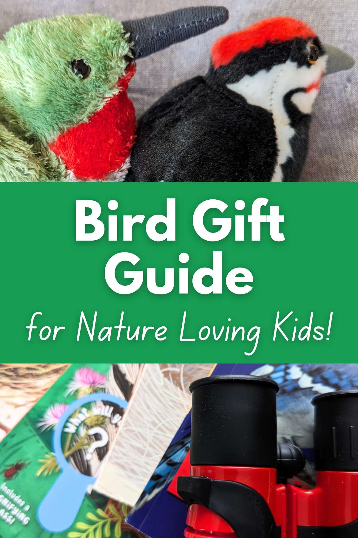 Two bird plush toys at the top with a collection of bird books with red and black binoculars at the bottom. Green rectangle in the middle with white text overlay.