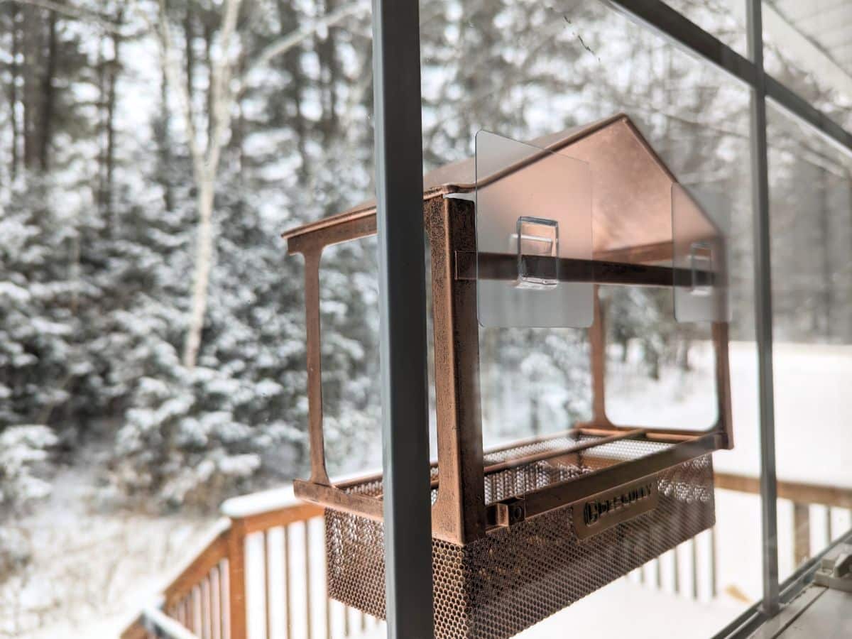 Copper bird feeder stuck to a window on a house with evergreen trees covered in snow and a wooden deck in the background.