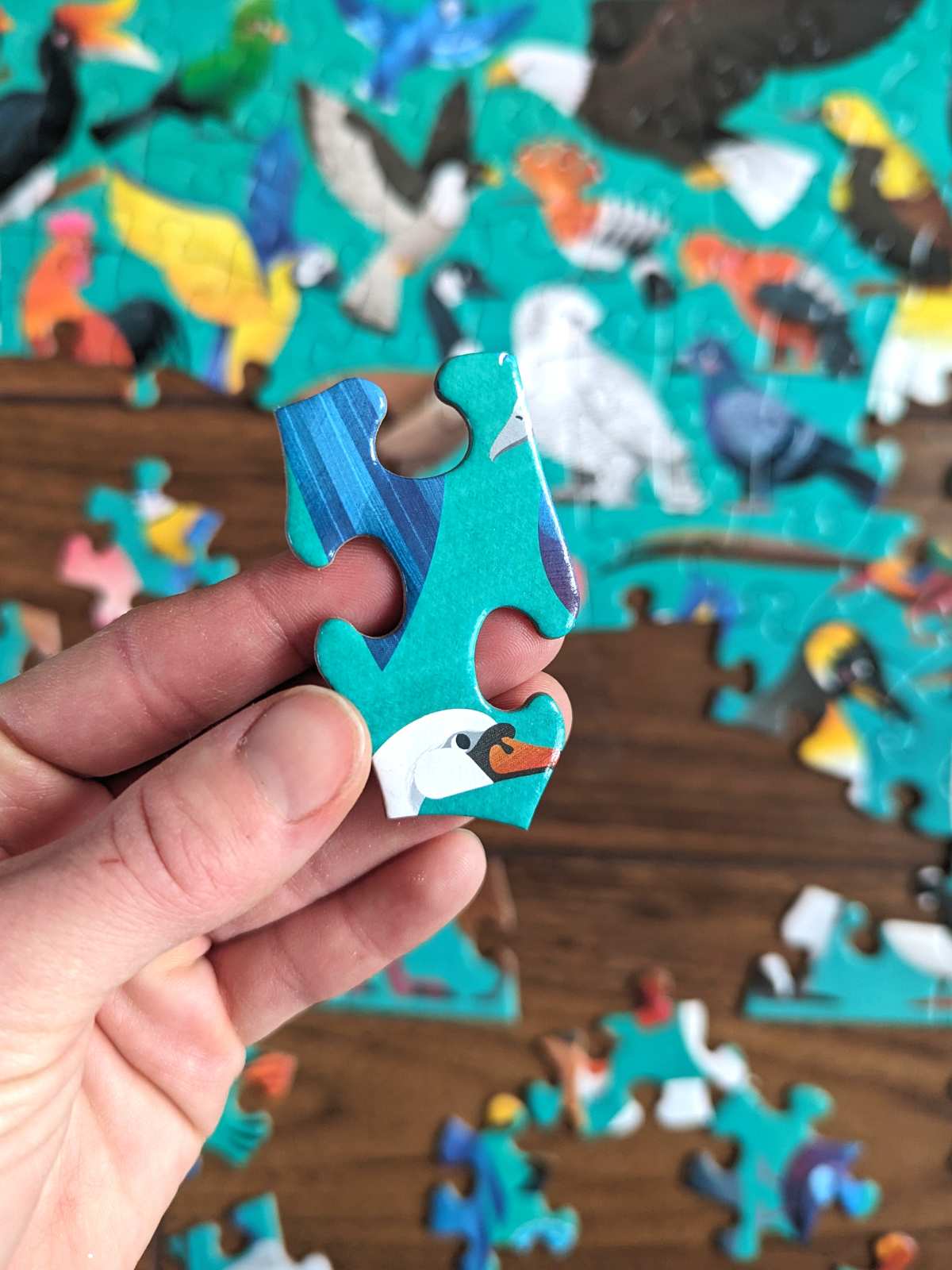 Hand holding up a puzzle piece with a turquoise background and a swan's face above a half completed puzzle on the floor with different bird species.