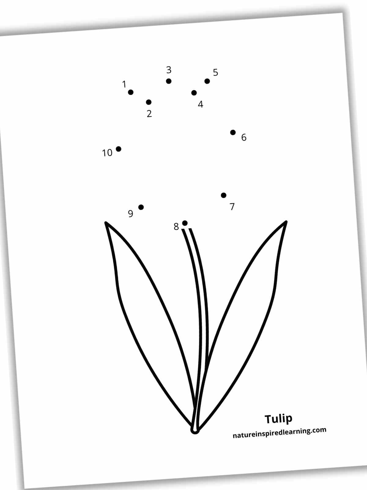 Black and white dot to dot worksheet with a stem with leaves below dots with numbers instead of a flower.