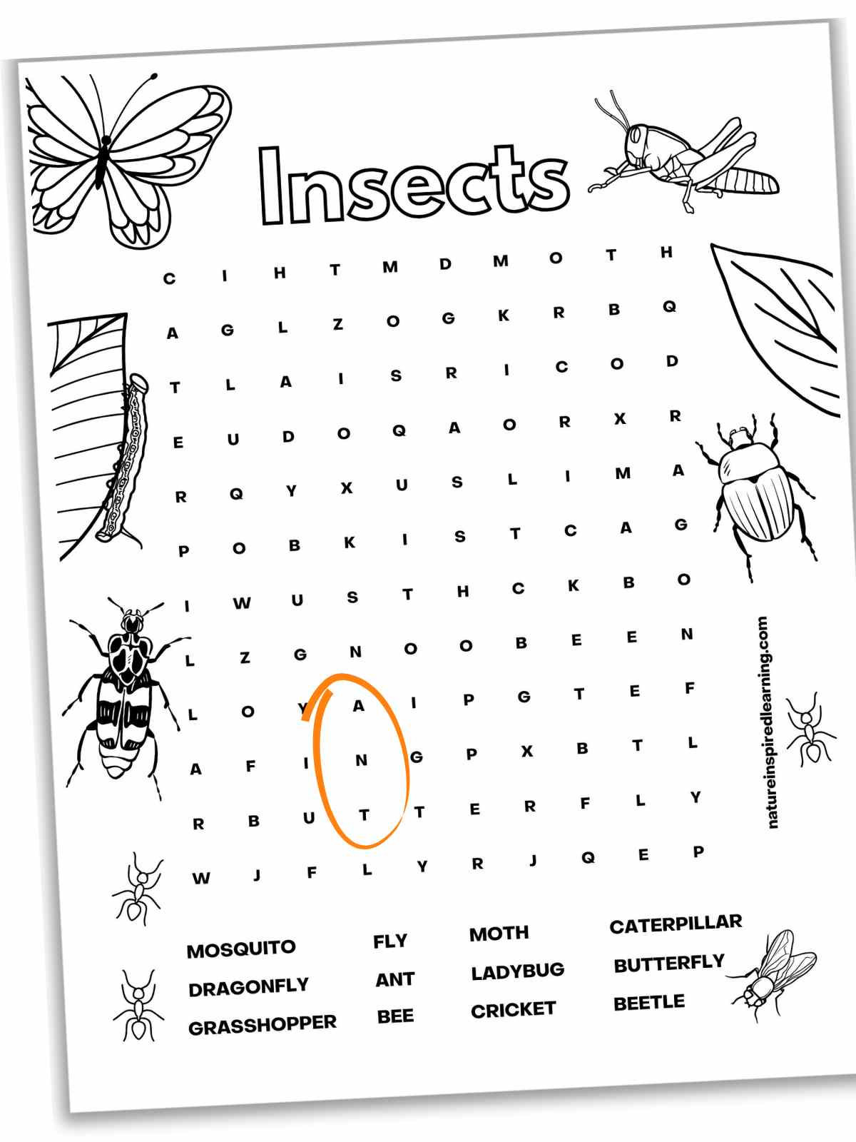 Black and white word search with an insect theme. Different images of bugs and insects around the border with ant circled in orange on the puzzle.