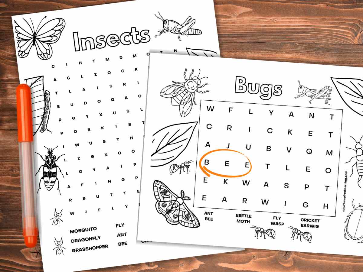 Two black and white insect word searches overlapping on a wooden background. Bee circled in orange on the top printable and an orange marker on the left.