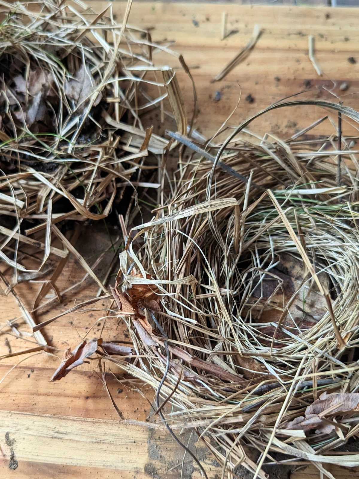 Two nests made out of gathered materials on a wooden cutting board.