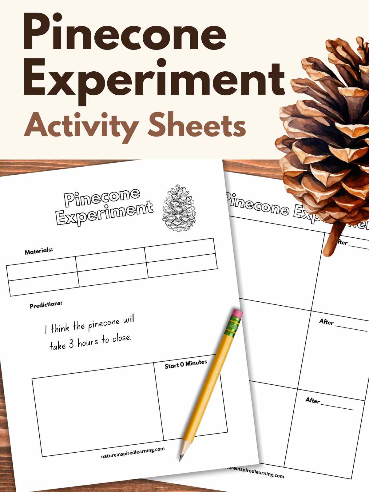 Two overlapping worksheets with a pencil slanted on the top sheet. Large pinecone upper right next to brown text overlay over a light tan background.