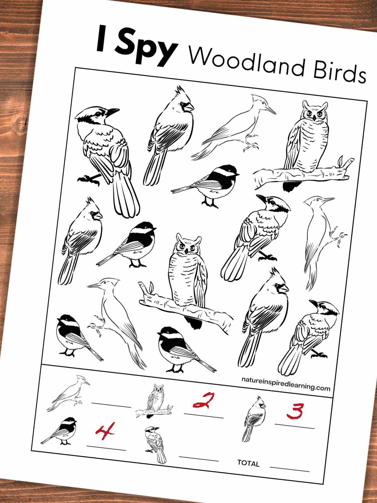 I spy woodland Bird worksheet slanted on a wooden background with different black and white birds. Red numbers on the key at the bottom.