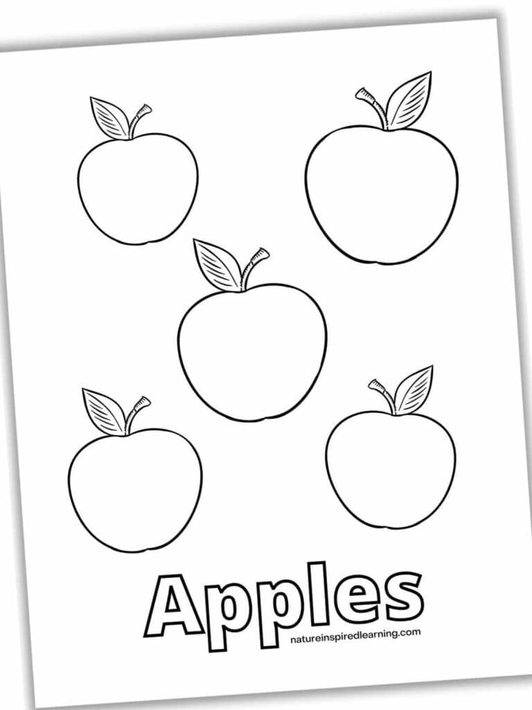 Apple Coloring Pages - Nature Inspired Learning