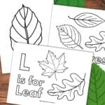 Three black and white leaf coloring pages with different leaf designs overlapping on a wooden background with green.