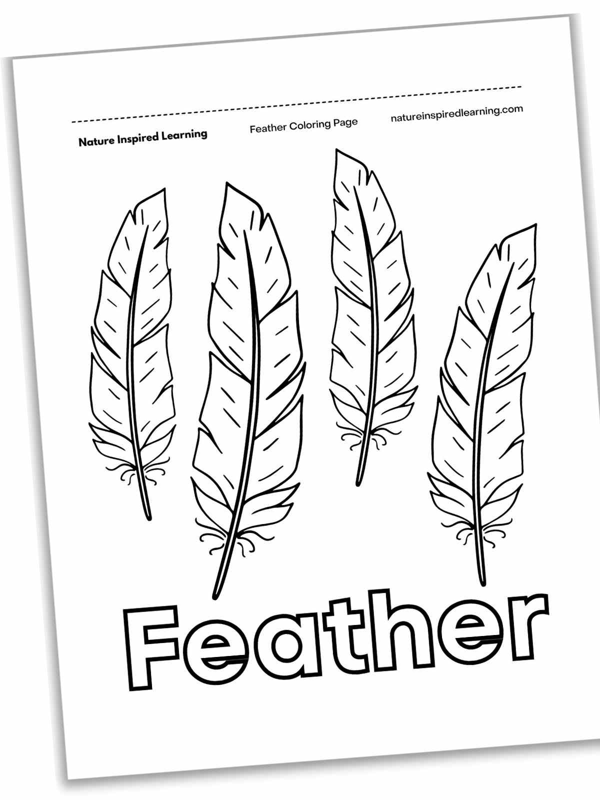 Black and white printable with four feathers aligned vertically in a row with Feather written below in outline form.