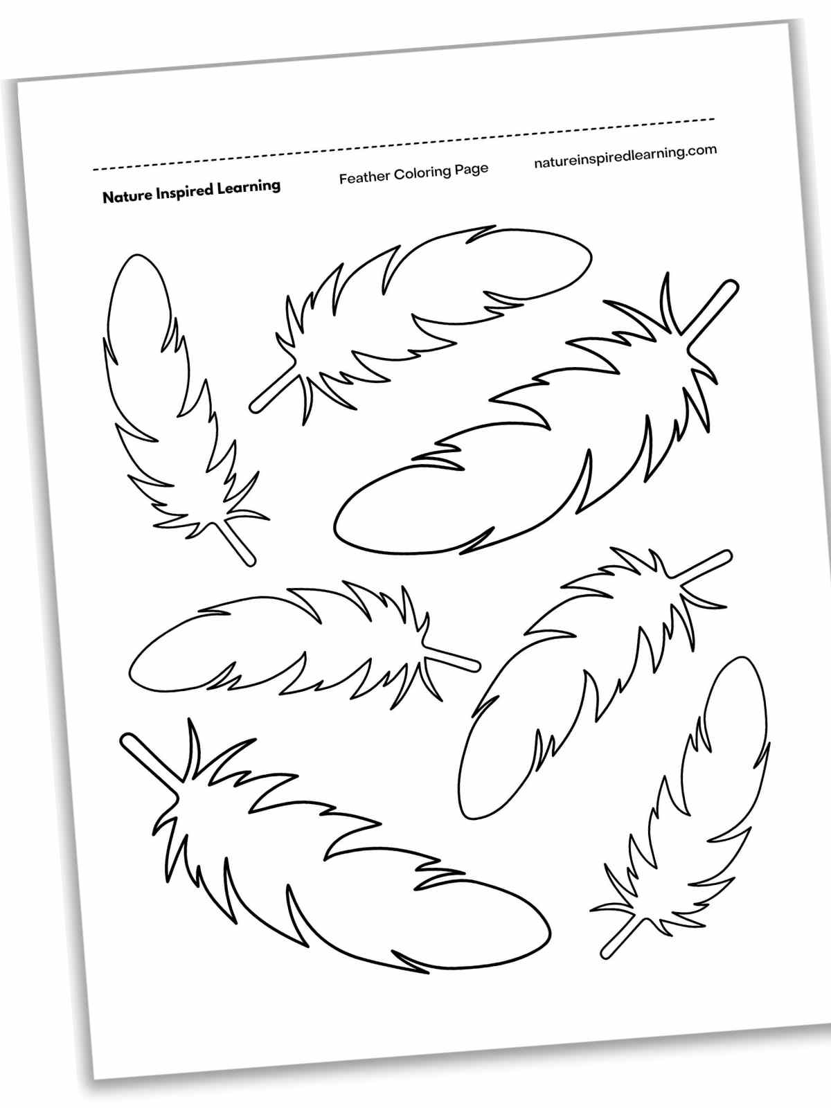 Black and white printable with seven simple feathers in outline form arranged randomly on the page.