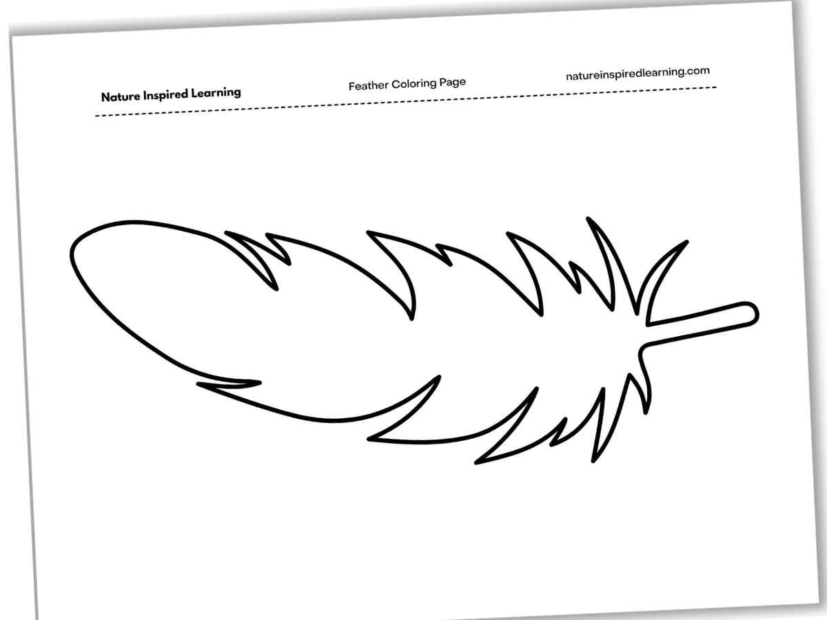 Black and white printable with the outline of one large feather. Simple outline of a feather.