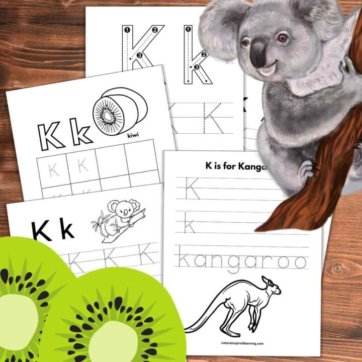 Five black and white tracing worksheets for the letter k overlapping on a wooden background. Two green kiwi's cut open on the bottom left and a koala on a branch in the upper right.
