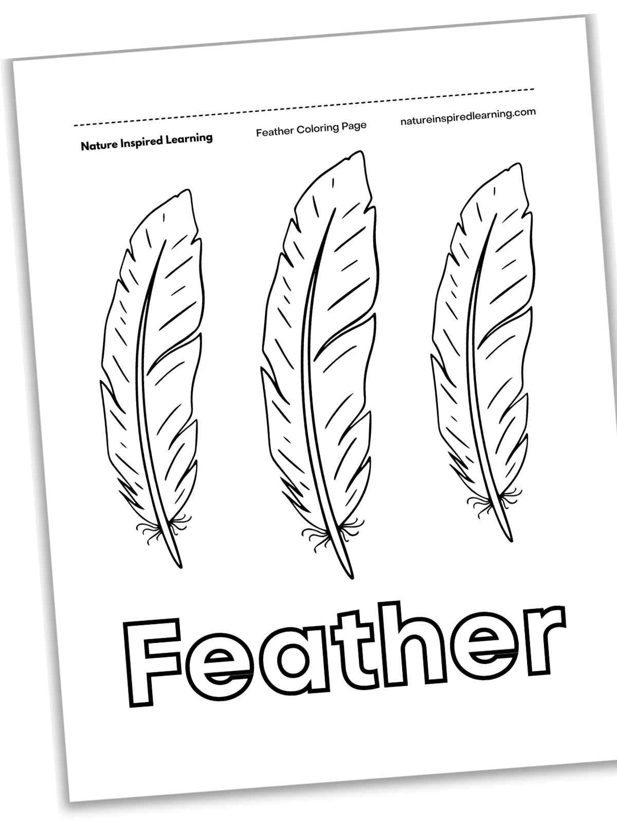 Black and white printable with three feathers aligned vertically in a row with Feather written below in outline form.