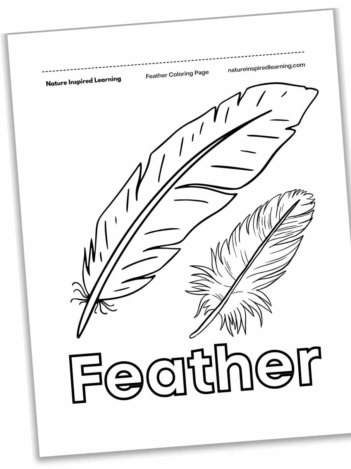Black and white printable with a the outline of a large feather and a small feather with the word Feather written below.
